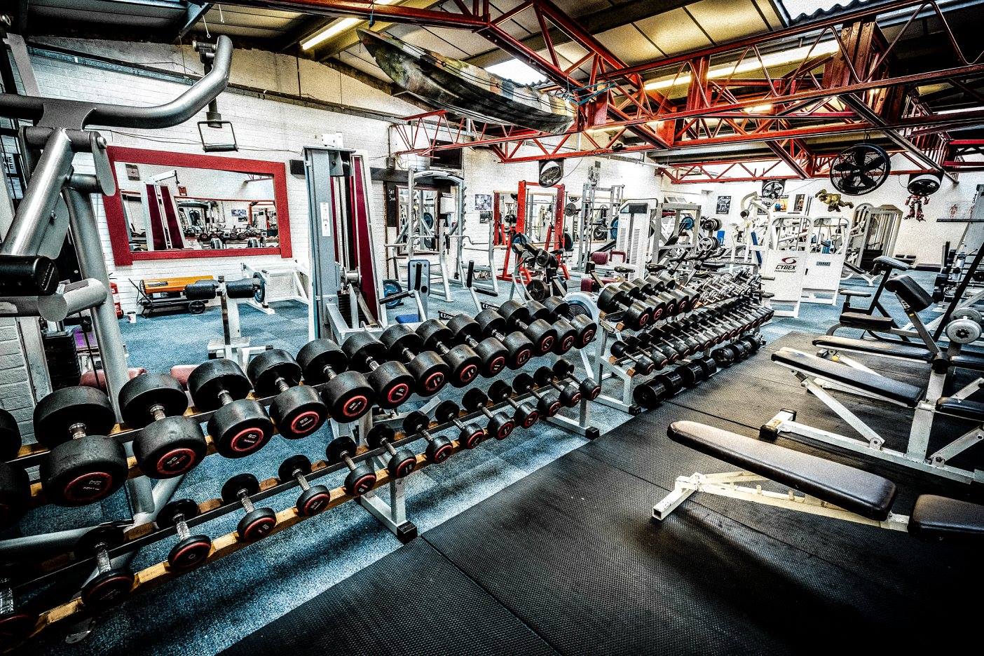 The Gym